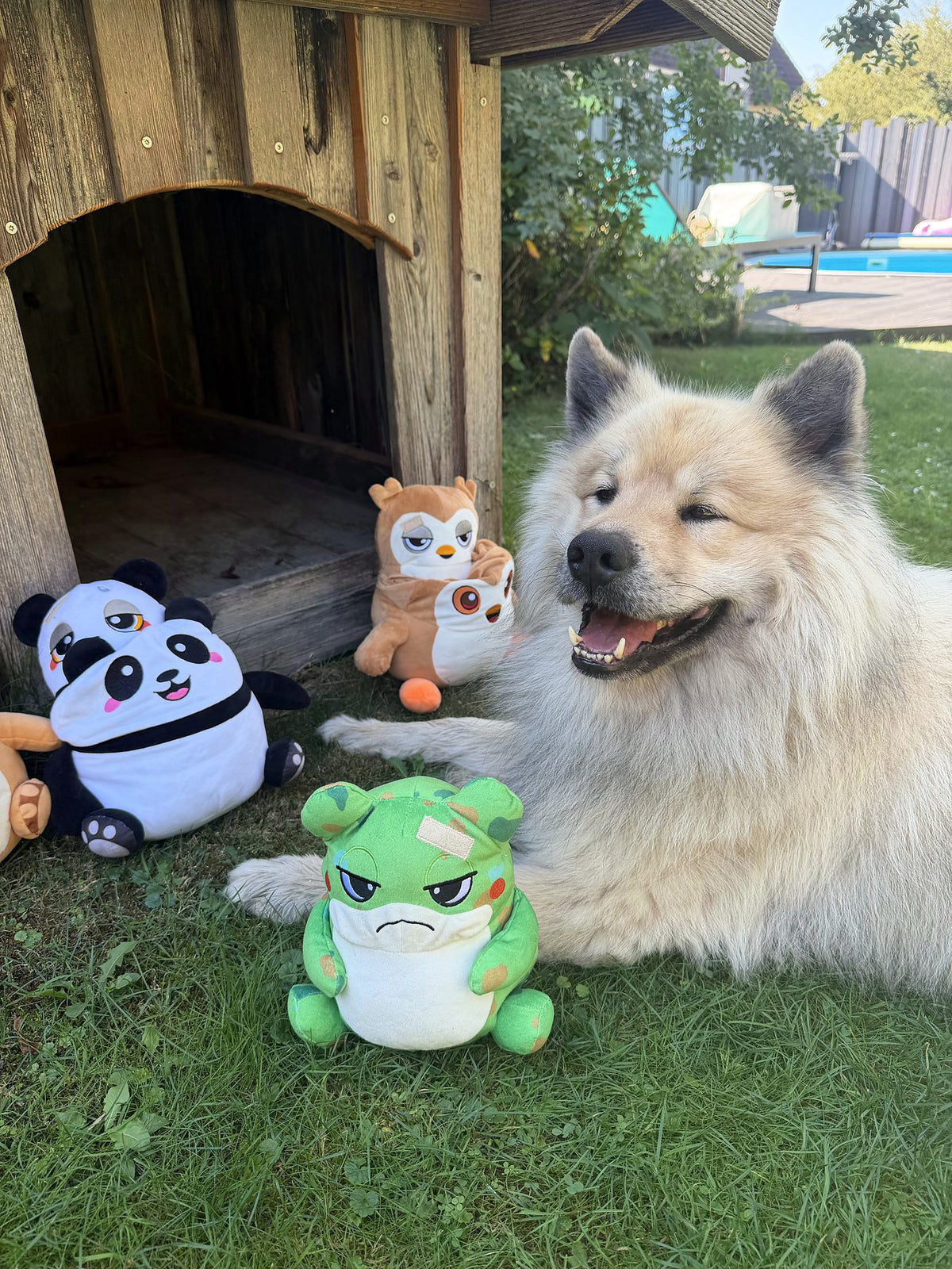 Hund Byron mit den 3in1 Surprise Toys