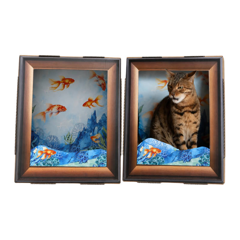 Katzen-Bilderrahmen Aquarium