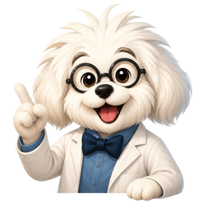 Einstein
