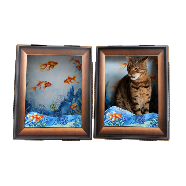 Katzen-Bilderrahmen Aquarium