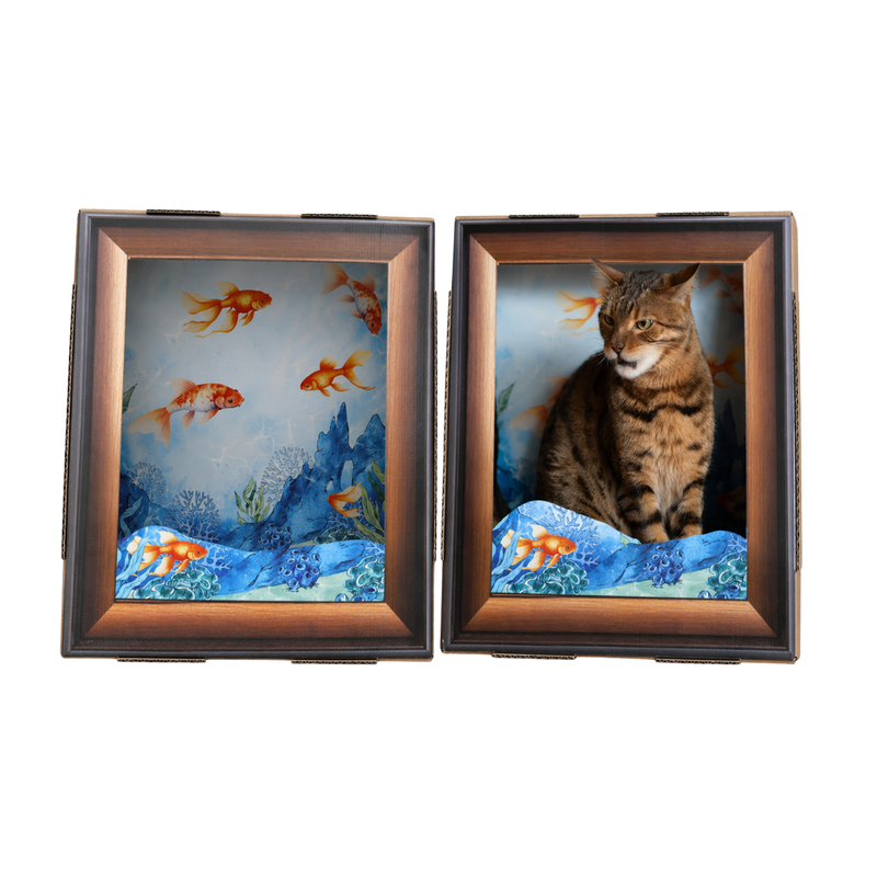Katzen-Bilderrahmen Aquarium