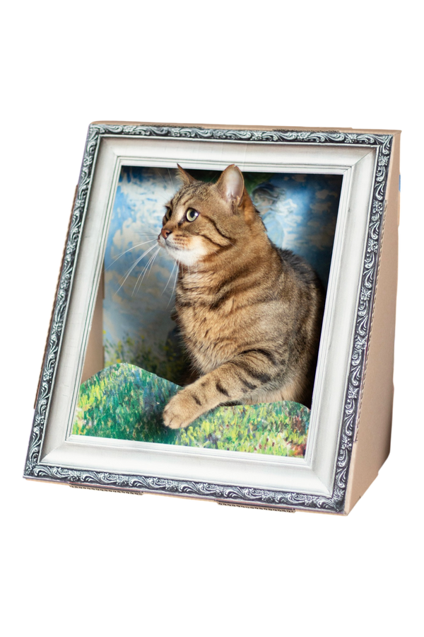Katzen-Bilderrahmen Blütentraum