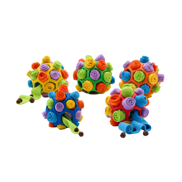 Schnüffelball