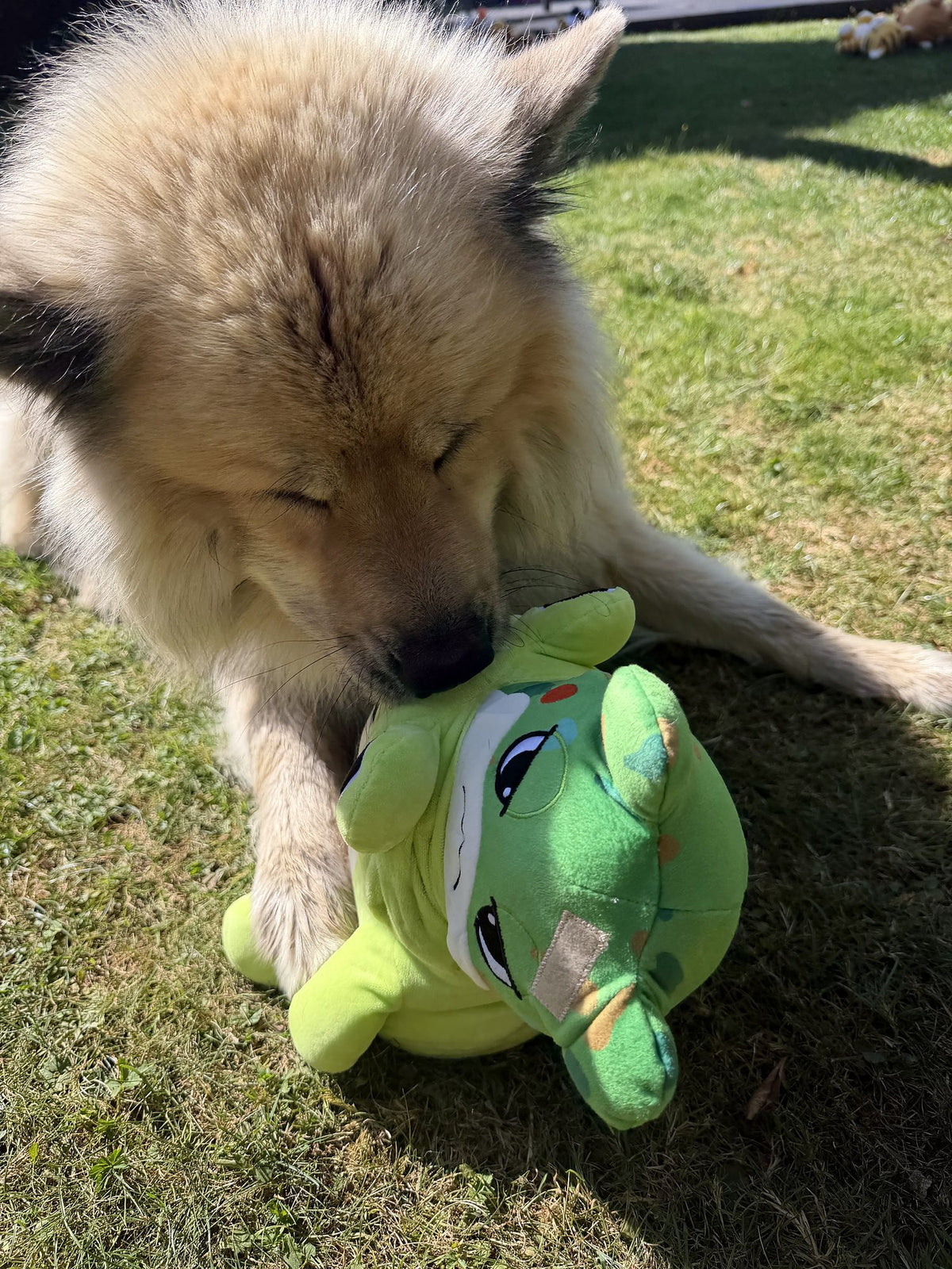 Hund Byron mit den 3in1 Surprise Toys