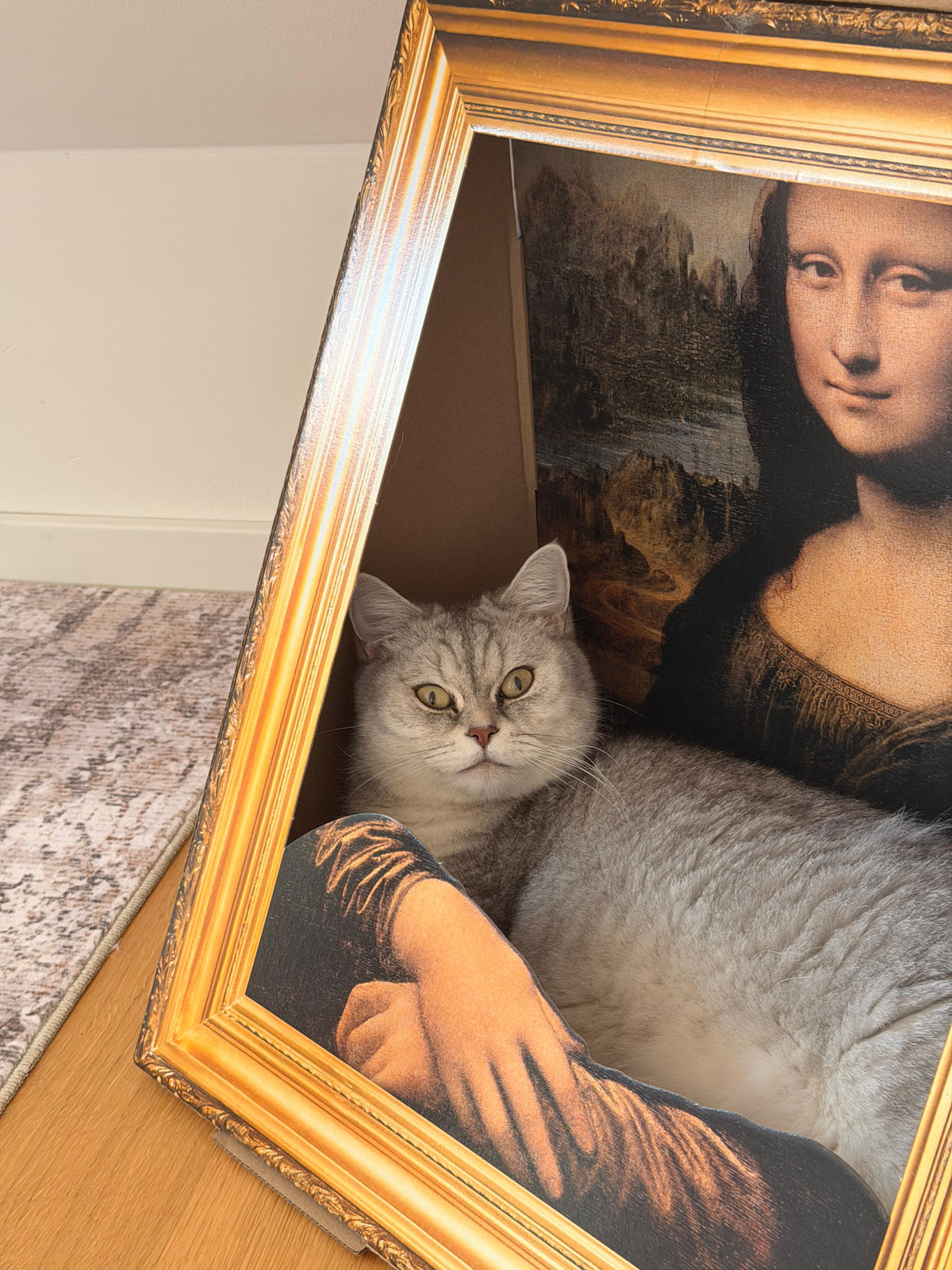 Katze Pino liegt im Katzen-Bilderrahmen Mona Lisa