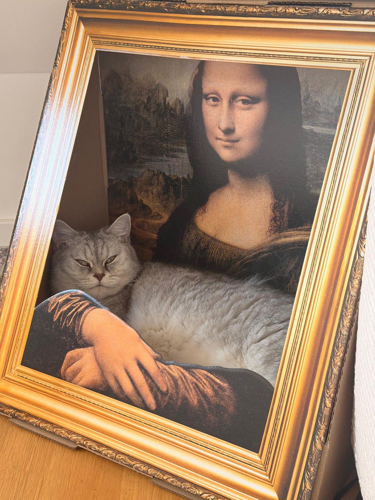 Pino macht es sich im Katzen-Bilderrahmen Mona Lisa gemütlich