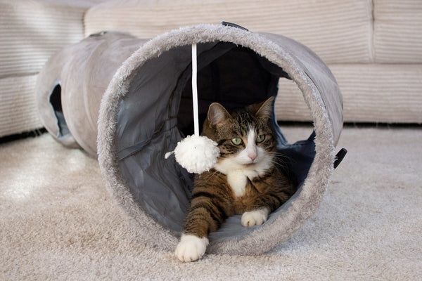 Katze spielt im grauen innovatier XXL Katzentunnel mit dem Pompon