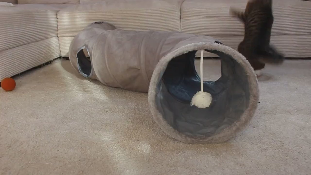 Video: Katze jagt den Federstab durch den XXL Katzentunnel