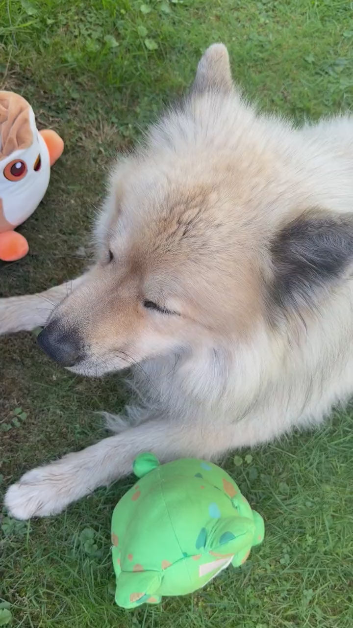 Video: Hund Byron mit den 3in1 Surprise Toys